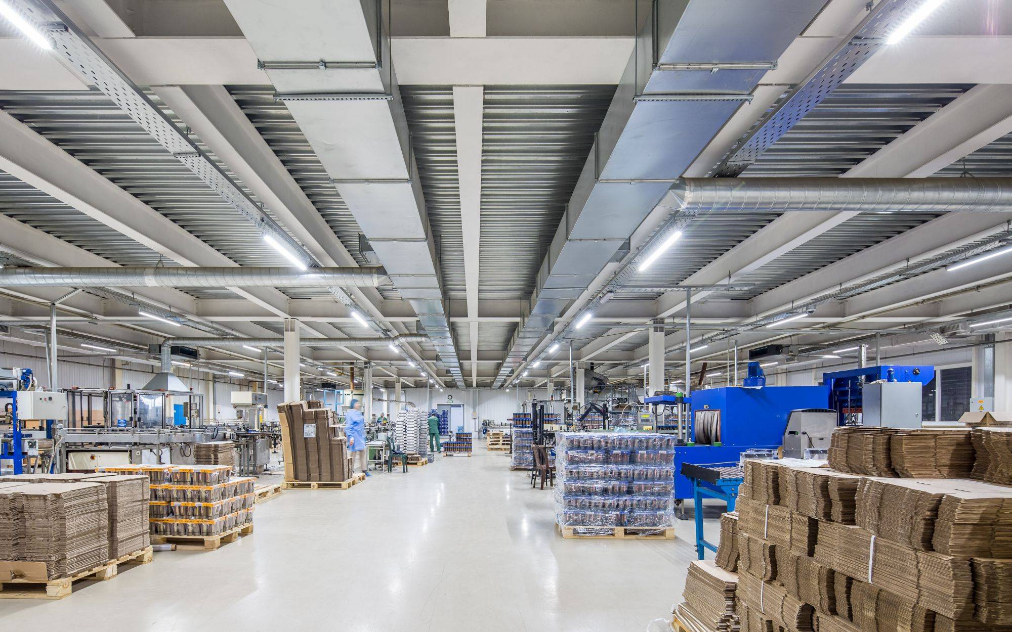 Equipment For The Packing Of Bulk Food Products